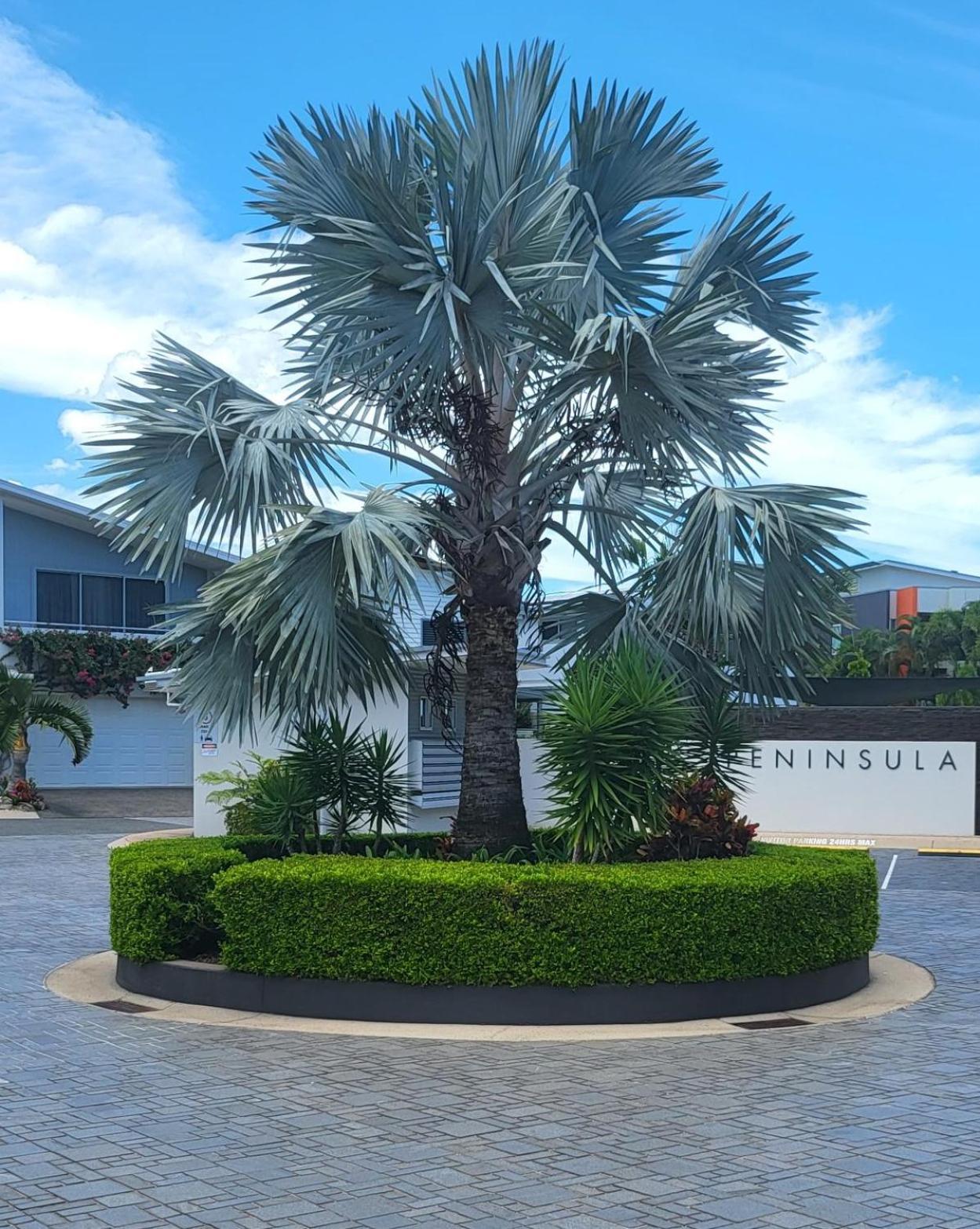 Peninsula Airlie Beach Eksteriør billede